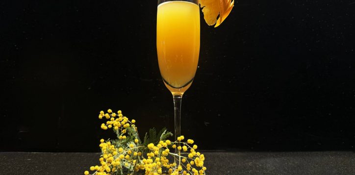 mimosa-cocktail-2