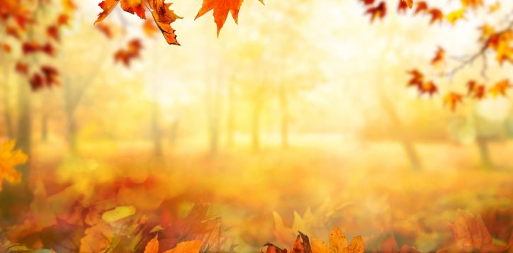 autumn-image-2