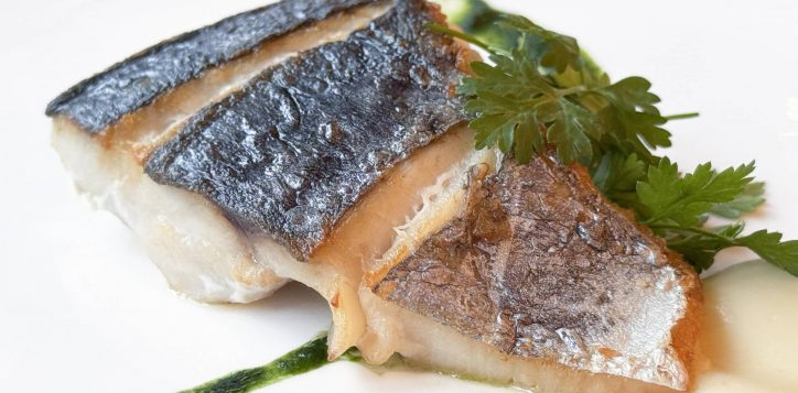 fish-2026-mar-2-0-hp-2