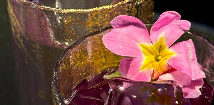 micropolitan2-copy-2