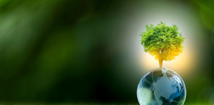 renewableenergyconceptearthdayorenvironmentprotectionhandsprotect-2